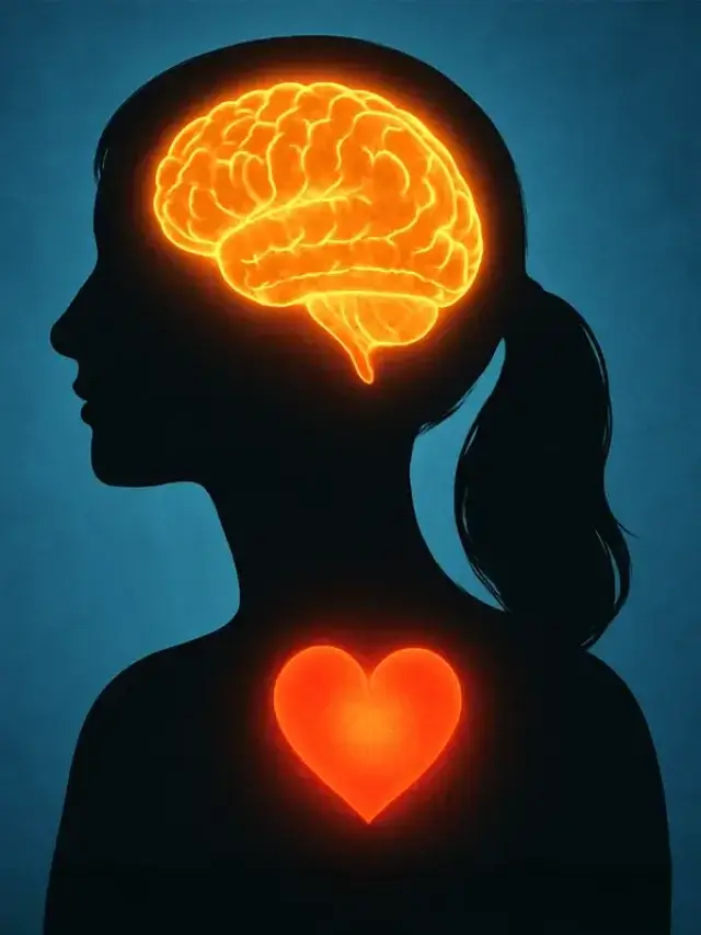 Unlocking Energy & Clarity: The Power of Vitamin B12 in Menopause